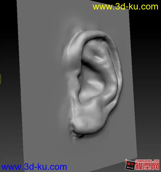 耳朵写实雕刻模型的图片4
