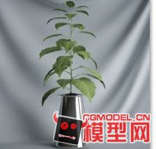 高质量盆栽（带材质）花 树精品28模型的图片1