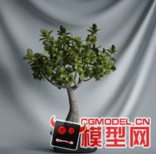高质量盆栽（带材质）花 树精品28模型的图片2