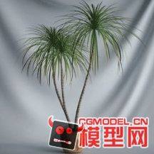 高质量盆栽（带材质）花 树精品28模型的图片4