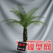 高质量盆栽（带材质）花 树精品28模型的图片12
