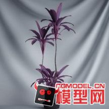 高质量盆栽（带材质）花 树精品28模型的图片15