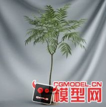 高质量盆栽（带材质）花 树精品28模型的图片20