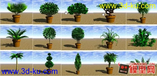 景观绿化灌木（合集）模型的图片3