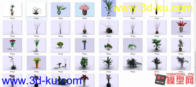 37盆栽花卉模型的图片1