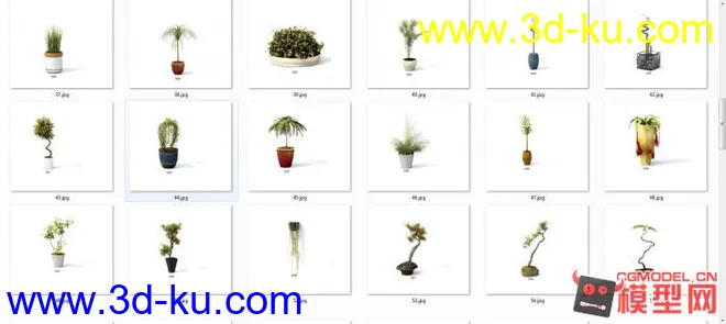 精品现代盆栽，花卉（有材质）63套模型的图片3