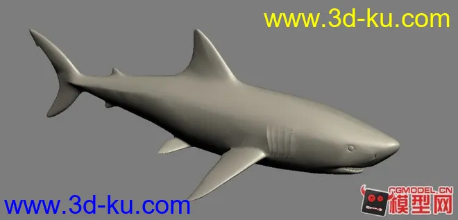 小鲨鱼模型的图片1