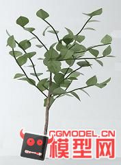 一棵常用的植物2模型的图片1