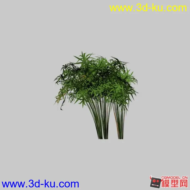 竹子模型的图片1