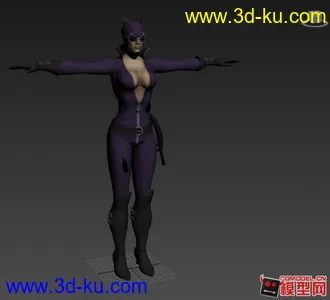 3D打印模型猫女 DC vs MK的图片