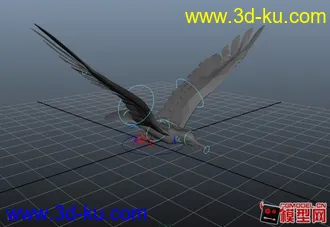 maya鸟模型下载有骨骼绑定+循环动画的图片