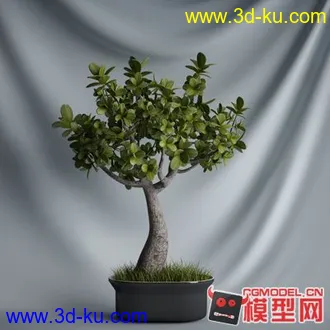 3D打印模型盆景——————————的图片