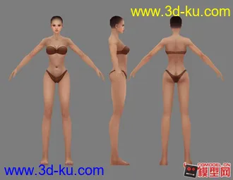 3D打印模型女裸模一个的图片