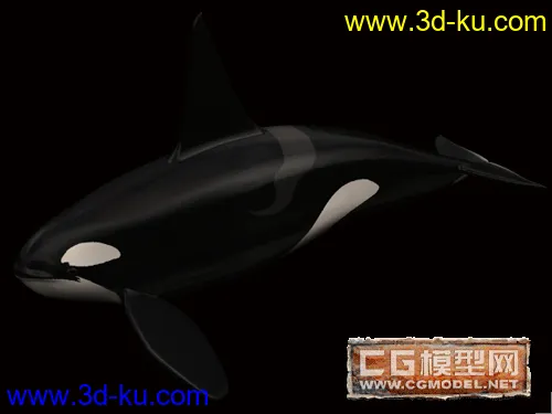鲸鱼模型的图片1