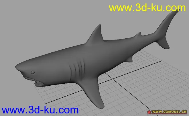 鲨鱼模型的图片3