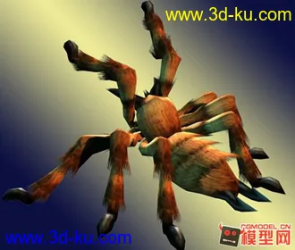 3D打印模型写实蜘蛛spider~~的图片