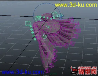 3D打印模型自己做的鸟的翅膀绑定的图片