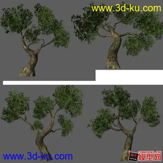 3D打印模型树的图片