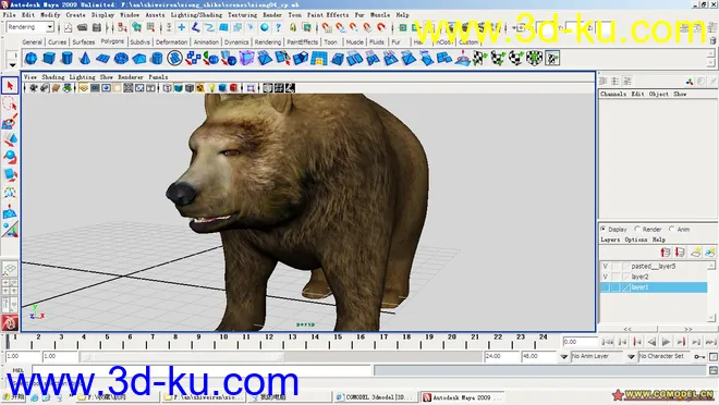 熊模型的图片1