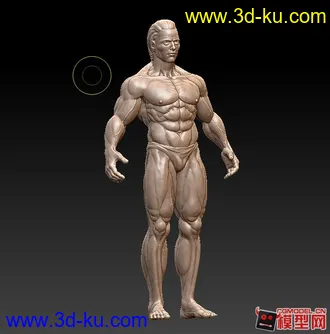 3D打印模型zbrush 人体的图片