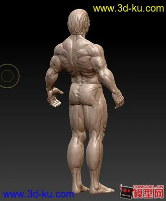 3D打印模型zbrush 人体的图片