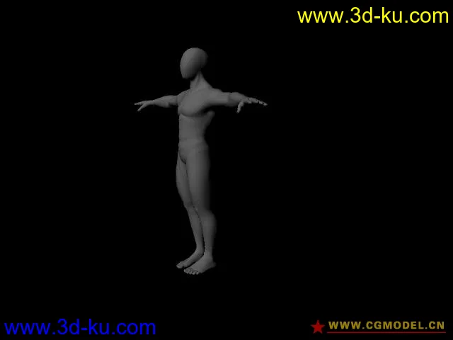 男人体模型的图片2