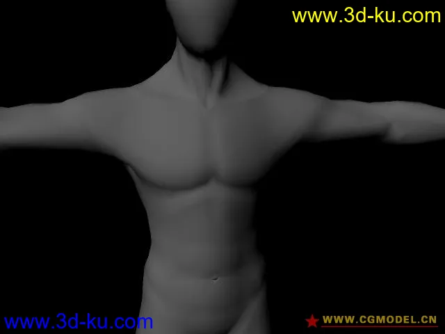 男人体模型的图片3