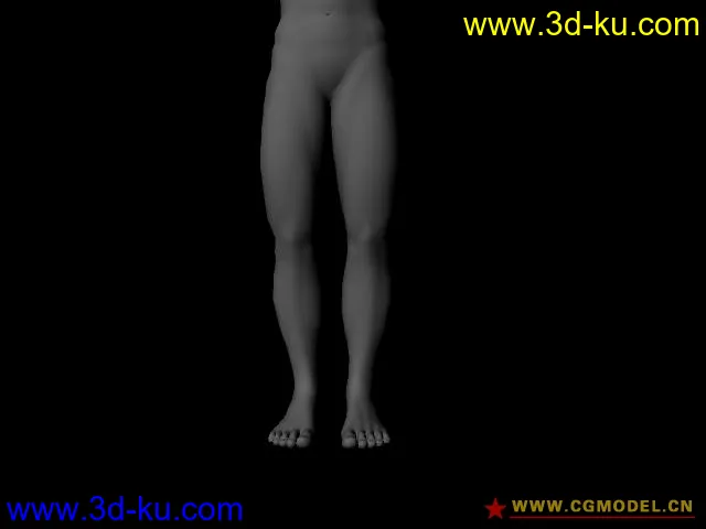 男人体模型的图片6