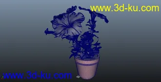 3D打印模型红花 盆栽 绿叶 鲜花  三色花的图片