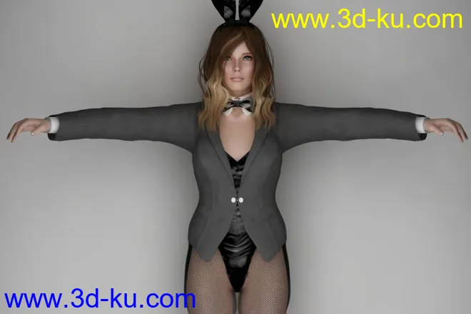 Bunny Girl 兔女郎模型的图片4