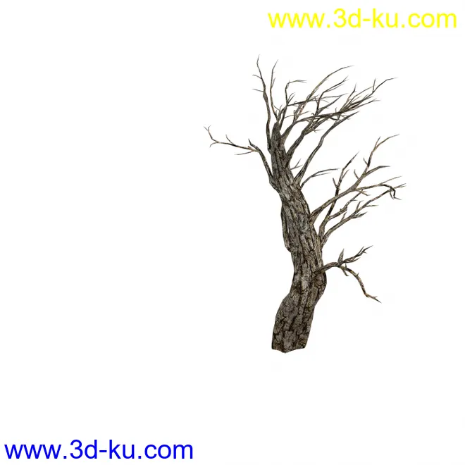 枯树模型的图片2