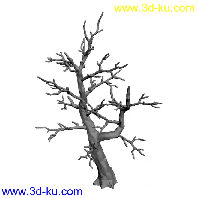 枯树模型的图片1