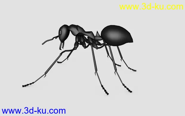 蚂蚁模型的图片2