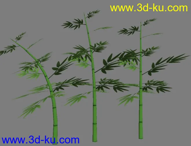 竹子 竹叶模型的图片1