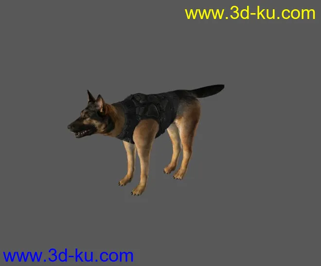 3d警犬(max2012版本）模型的图片1