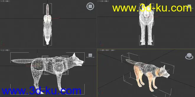 3d警犬(max2012版本）模型的图片2