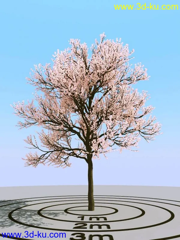 一株普通樱花树实模模型的图片1