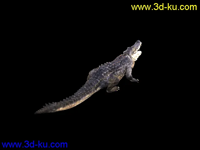 3d鳄鱼免费版模型的图片1