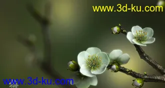 3D打印模型花的图片