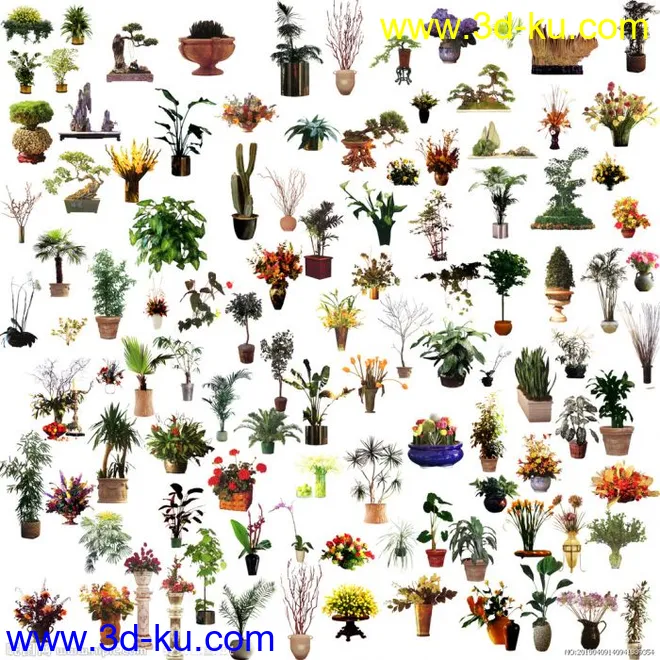 各类盆栽植物模型的图片2