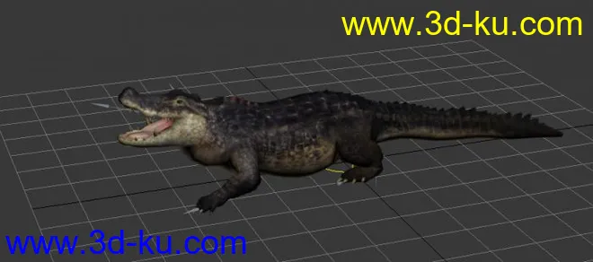超写实鳄鱼模型，贴图完整,带绑定动画！的图片1