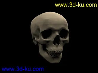 3D打印模型骷髅的图片