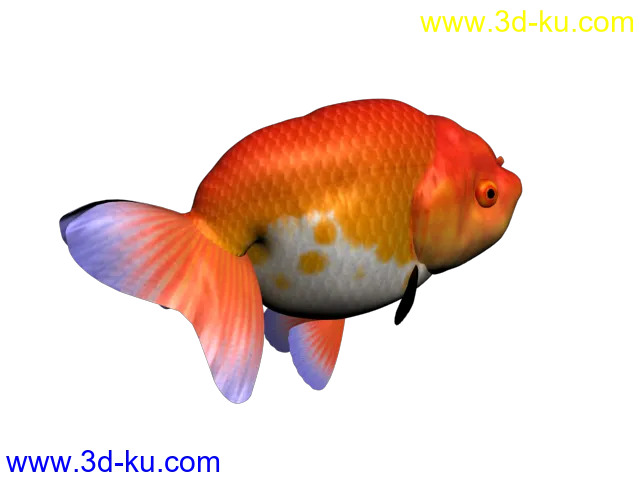 金鱼 3d模型的图片1