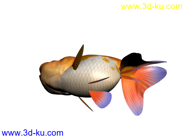 金鱼 3d模型的图片2