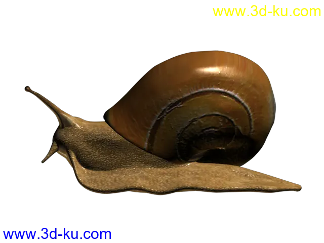 仿真蜗牛模型的图片2