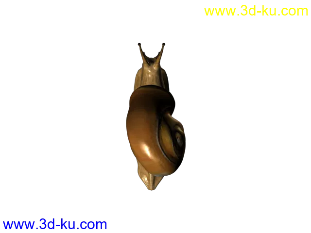 仿真蜗牛模型的图片3
