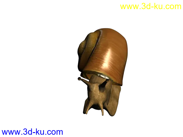 仿真蜗牛模型的图片4