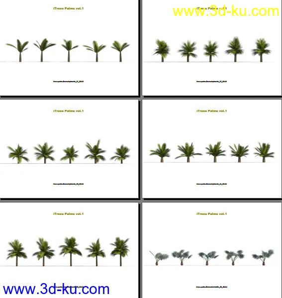 124类620种形态各异的棕榈树模模型的图片5