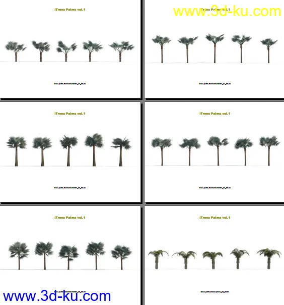 124类620种形态各异的棕榈树模模型的图片6