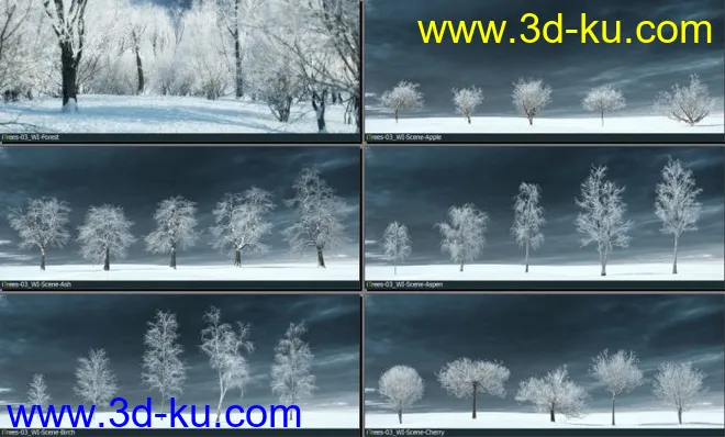 75颗形态各异的冬季树木模型的图片1